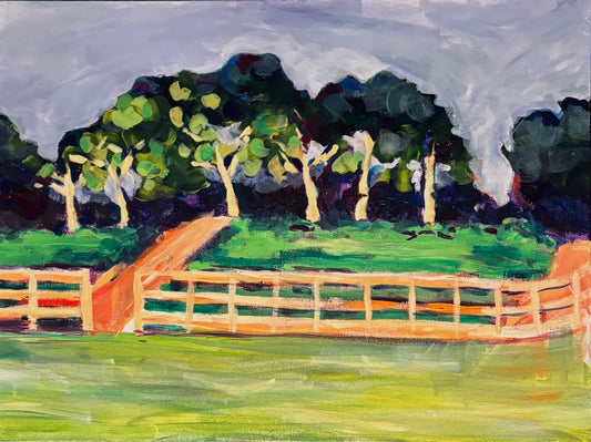 Elings Park at Night